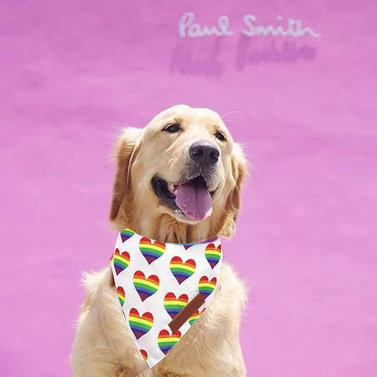 Realeaf Rainbow Dog Bandanas 2 Pack