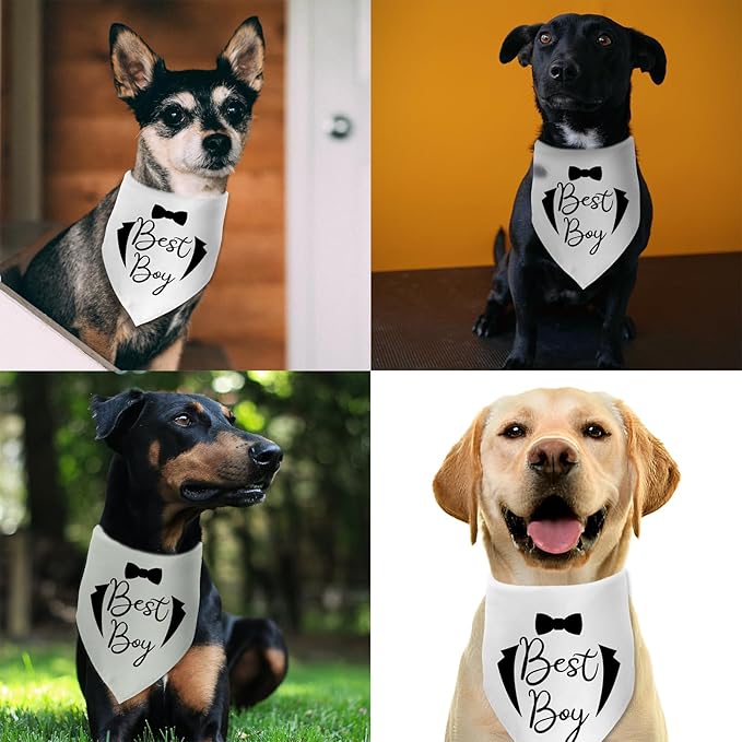 Best Boy Dog Wedding Bandana Bridal Shower Gift