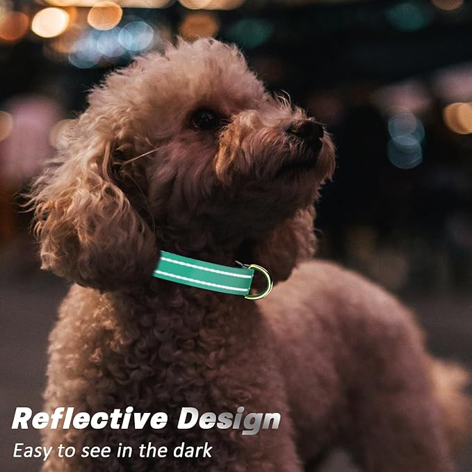 Reflective Dog Collar
