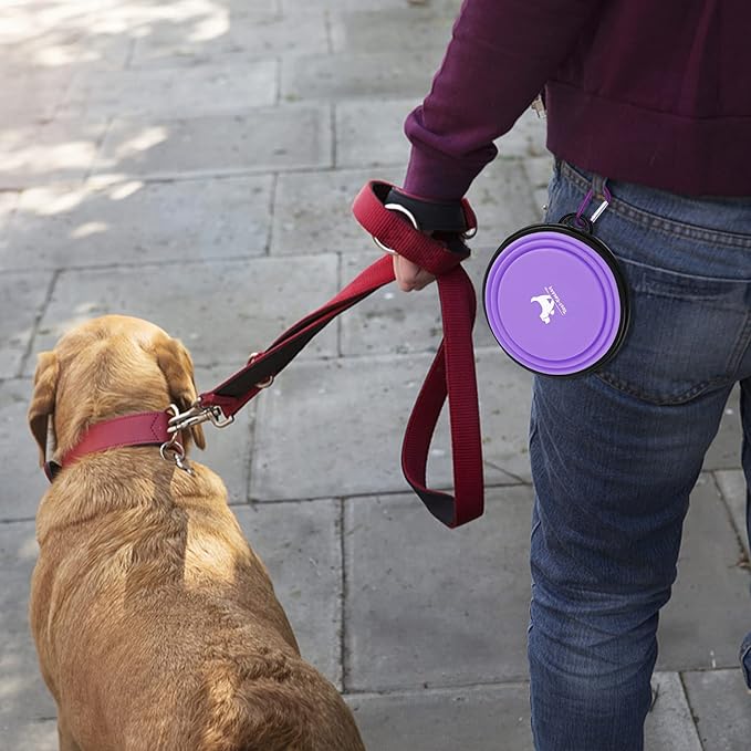 Collapsible Dog Bowls for Travel, 2-Pack Dog Portable Water Bowl for Dogs Cats Pet Foldable Feeding Watering Dish for Traveling Camping Walking with 2 Carabiners, BPA Free