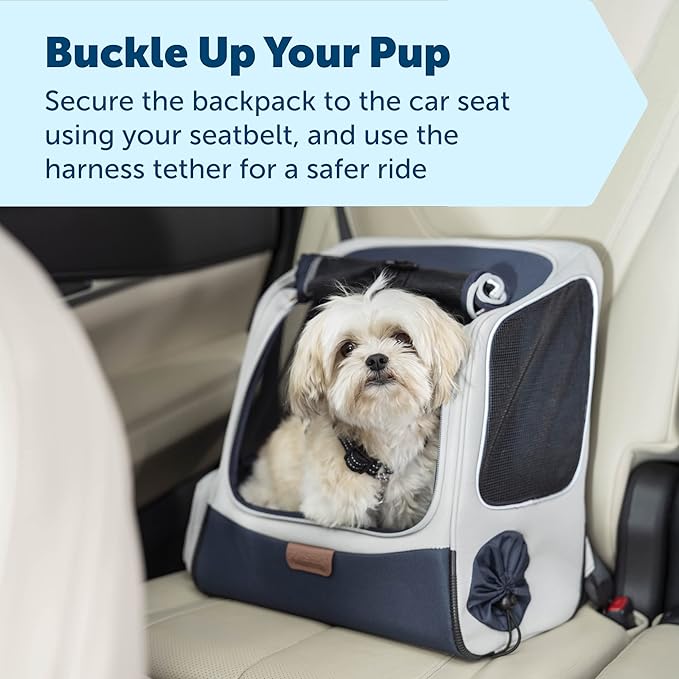 PetSafe Happy Ride Backpack Pet Carrier - Perfect for Dogs & Cats up to 20lbs - Mesh Windows for Comfortable Travel - Harness Tether for Safety - Easy Access Treat Opening - Can be Secured in The Car