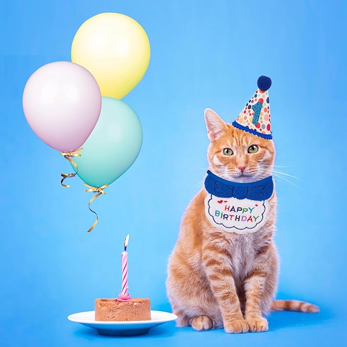 ADOGGYGO Cat Birthday Party Supplies