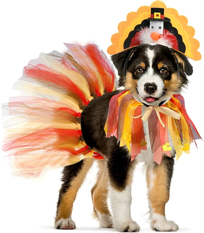 Vehomy Dog Thanksgiving Costume Pet Dog Turkey Headband Headwear Hat Puppy Thanksgiving Halloween Collar Dog Tutu Skirt Pet Halloween Turkey Costume for Cats Dogs 3Pcs