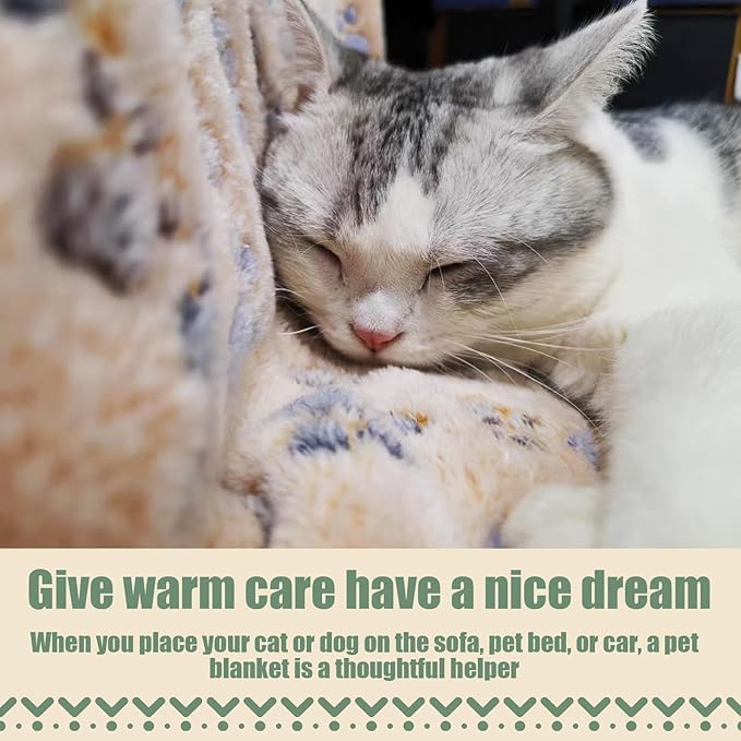 5 Pcs Pet Blankets 30"X20" Puppy