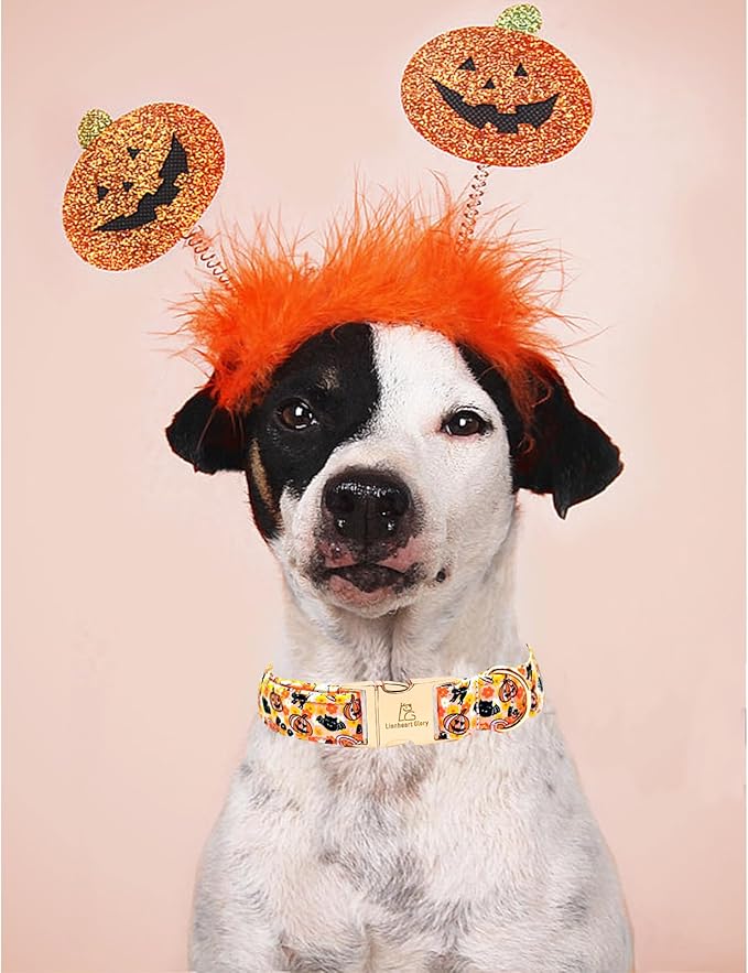 Lionheart glory Dog Collars Fall Halloween Pumpkin Collar