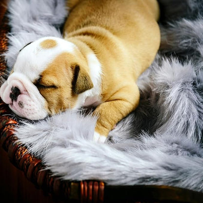 Fluffy Pet Dog Cat Bed Mat