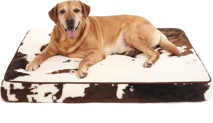 Bedfolks 4" Thick Orthopedic Dog Bed for Jumbo Dogs