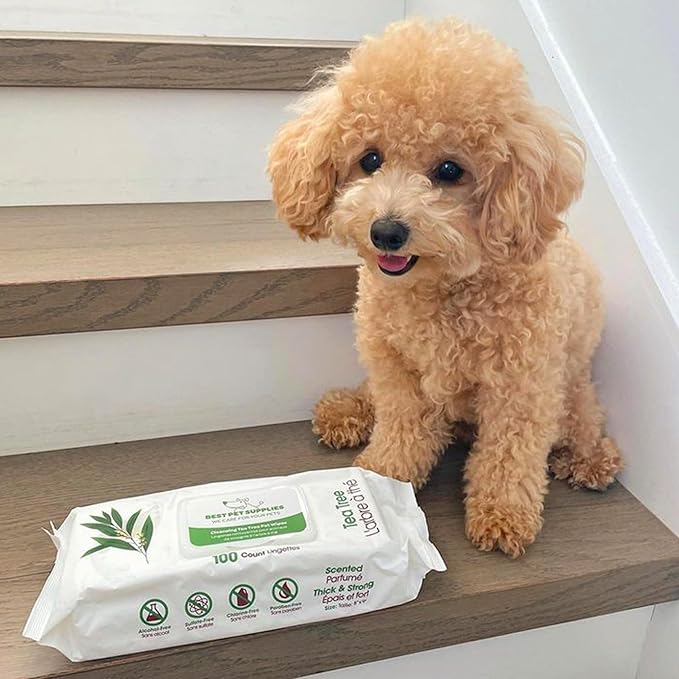 Best Pet Supplies 8" x 9" Pet Grooming Wipes for Dogs 400 Pack,