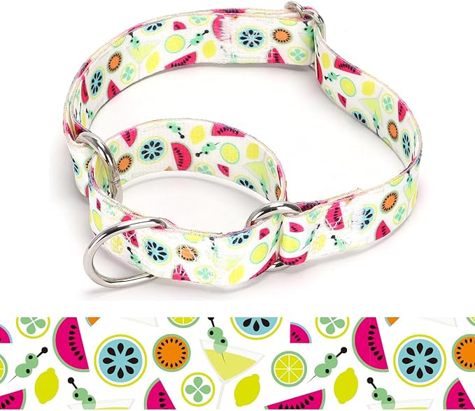 Martingale Dog Collars (6, M)