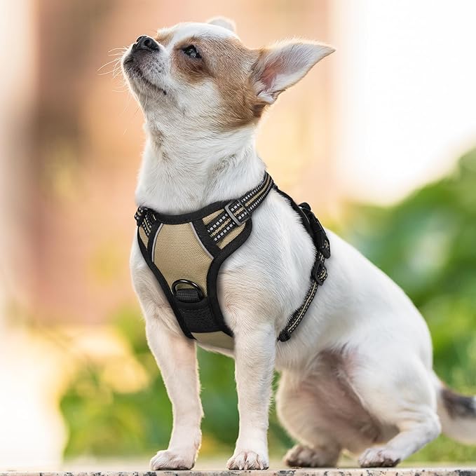 rabbitgoo Dog Harness, No-Pull Pet Harness with 2 Leash Clips, Adjustable Soft Padded Dog Vest, Reflective No-Choke Pet Oxford Vest with Easy Control Handle for Small Dogs, Beige, XS