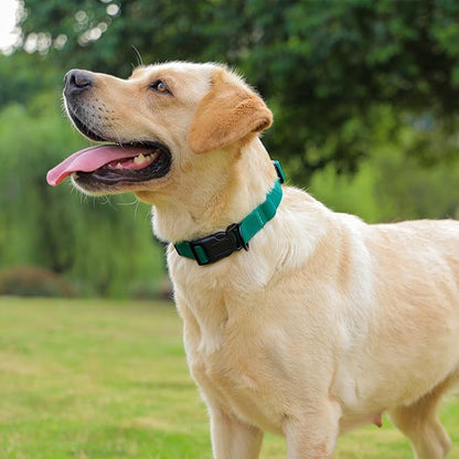 Waterproof Dog Collar 11.8-18.5 inch)