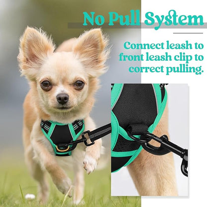 rabbitgoo Dog Harness, No-Pull Pet Harness with 2 Leash Clips, Adjustable Soft Padded Dog Vest, Reflective No-Choke Pet Oxford Vest with Easy Control Handle for Large Dogs, Black & Turquoise, X-Small