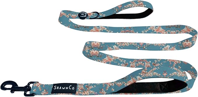 ShawnCo Dream Walk Dog Leash- Premium, Nylon Pet Leash with Soft Neoprene Handle for Small, Medium and Large Dogs (Freckle's Garden, M/L 6FT w/ 2 Handles)