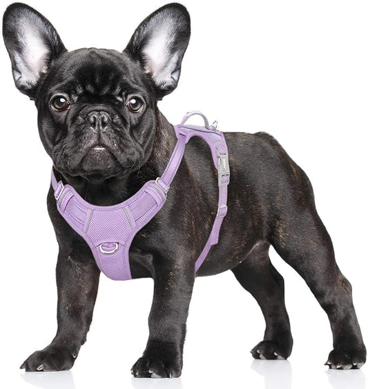 BARKBAY No Pull Dog Harness Large Step in Reflective Dog Harness with Front Clip and Easy Control Handle for Walking Training Running with ID tag Pocket(Violet Purple,S)