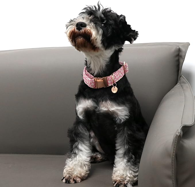 Daisy Summer Cotton Dog Collar with Metal Buckle