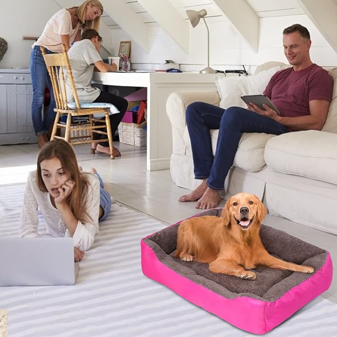 PUPPBUDD Dog Beds for Medium Dogs