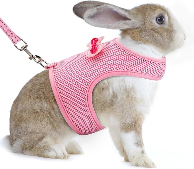 AIITLE Rabbit Harness and Leash Set with Cute Bow, Bunny Leash Vest Mesh Eescape Proof Walking Training for Small Animal Pets Kitten Puppy Squirrel Ferret Pig Bunny Pink S