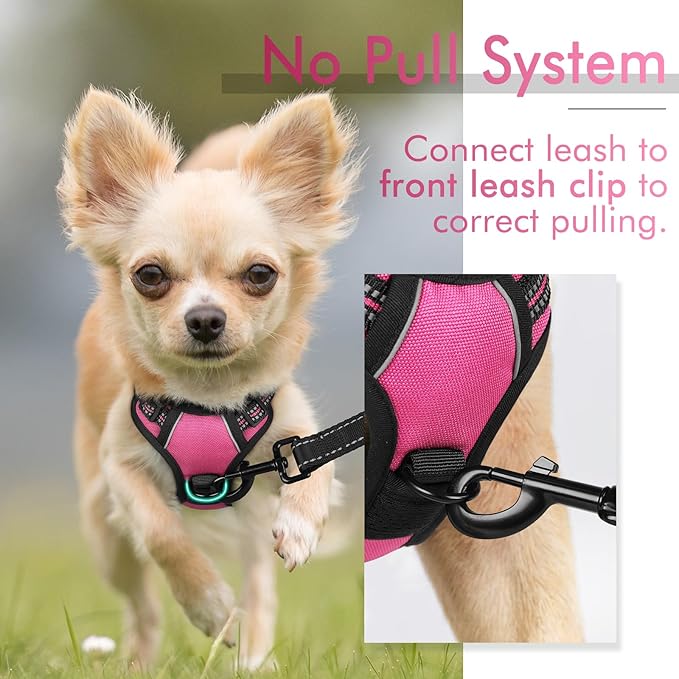 rabbitgoo Dog Harness, No-Pull Pet Harness with 2 Leash Clips, Adjustable Soft Padded Dog Vest, Reflective No-Choke Pet Oxford Vest with Easy Control Handle for Small Dogs, Hot Pink, XS