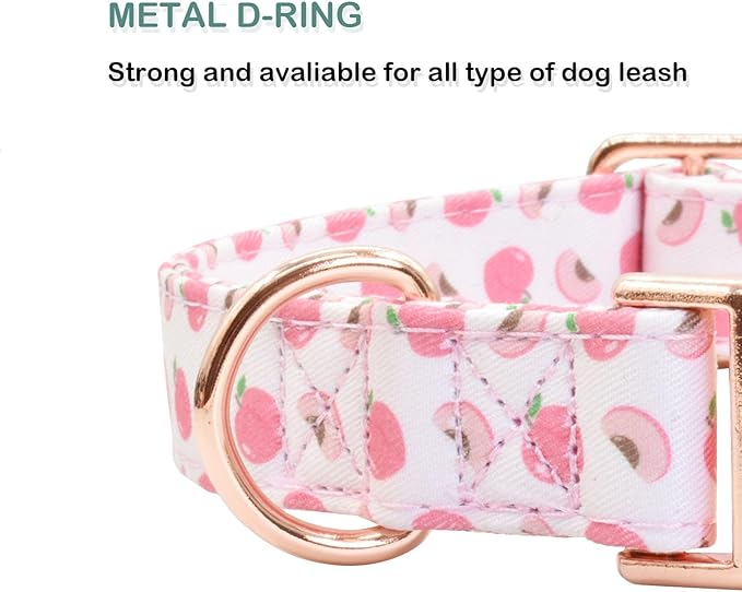 Cotton Dog Collar Metal Buckle Daisy Summer S(10-14in))