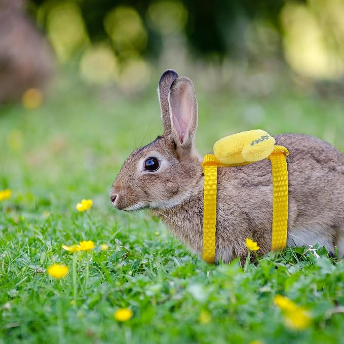 2 PCS Adjustable Rabbit Harness and Leash Set, Bunny Clothes for Rabbits, Small Pet Cute Vest Harness Leash with Decoration for Bunny Ferret Small Pets (Yellow and Red)