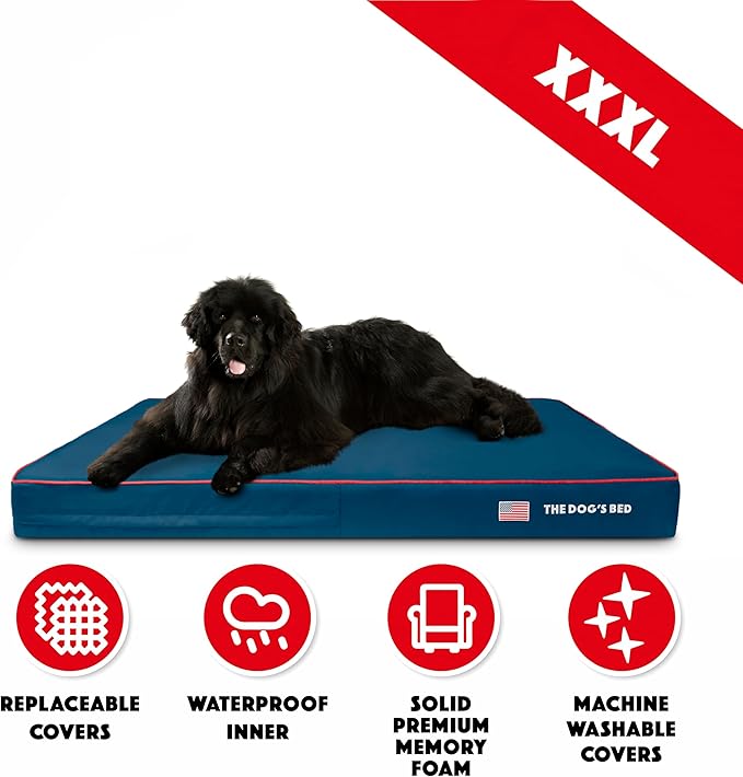 The Dog’s Bed Orthopedic Memory Foam Dog Bed 64x44, Pain