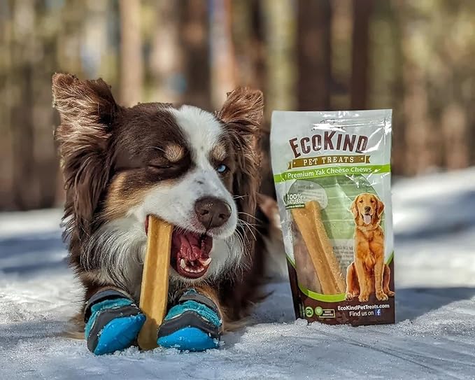 EcoKind Premium Gold Yak Cheese Himalayan Dog Chews, Dog Treats for Medium Dogs, All Natural, High Protein, for Aggressive Chewers, Medium - 3 Chews