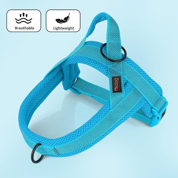 Didog No Pull Dog Harness with Breathable Mesh Padded, Full Reflective & Quick Fit Adjustable Vest Harness, Easy for Training Walking for Small & Medium and Large Dogs (Blue, S)