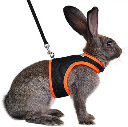 Niteangel Adjustable Soft Harness with Elastic Leash for Rabbits (L, Black)