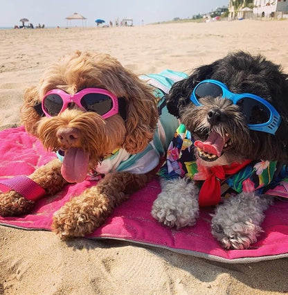 NAMSAN Dog Sunglasses Medium Breed UV Protection Dog Goggles for Small to Medium Dogs Windproof Anti-fog Snowproof Puppy Glasses