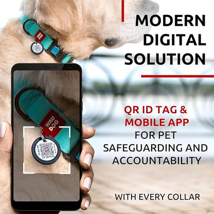 WAUDOG Waterproof Dog Collar