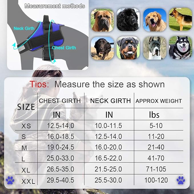 Bolux Dog Harness