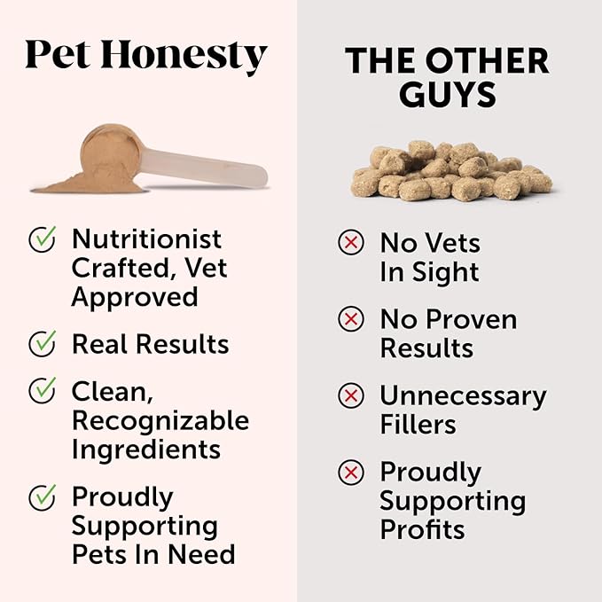 Pet Honesty Pumpkin Fiber Powder Supplement for Dogs - All Natural Dog Probiotic with Psyllium Husk, Pumpkin Seeds and Apple Pectin for Healthy Digestion (90 Scoops)