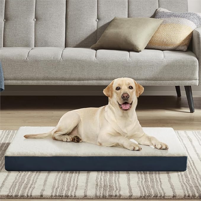 Friends Forever Orthopedic Dog Bed 36x27x3