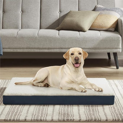 Friends Forever Orthopedic Dog Bed 36x27x3