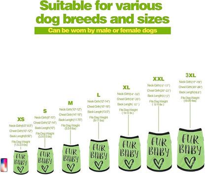 Elevate Your Pet's Seasonal Style with Playful Panache: 4-Piece Set 2 Large