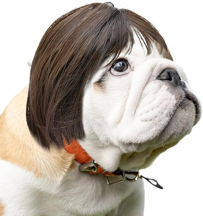 Funny Cat Dog Wig - Brown Bob Haircut with Bangs, Pet Costume for Small to Medium Sized Dogs and Cats, Halloween Party Cosplay Apparel Accessories, Comfortable and Adjustable Pet Wig