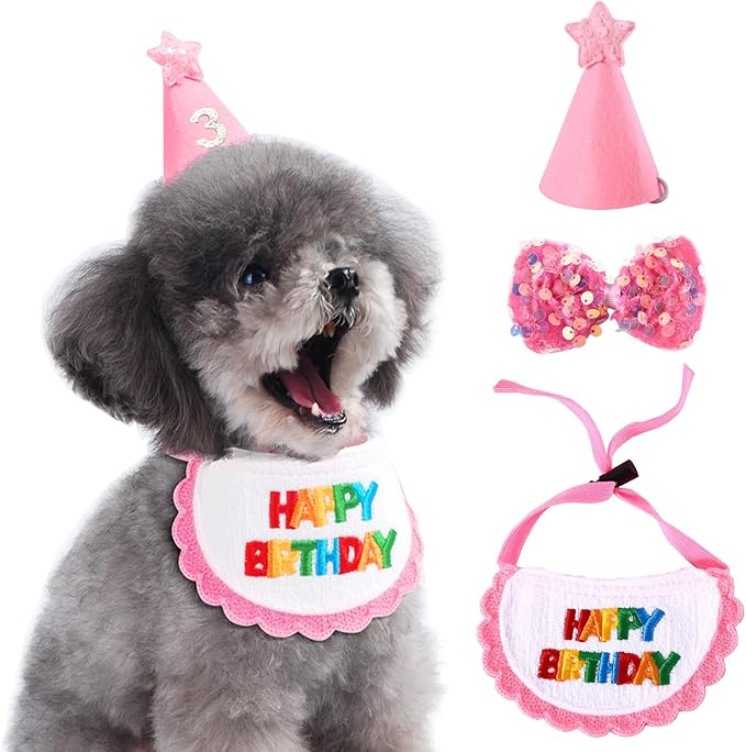 Dog Cat Birthday Party Supplies Outfit Bandana Bib