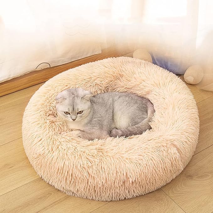 Cat Beds for Indoor Cats 20/24 inches,