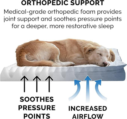 Furhaven Orthopedic Dog Bed for Medium/Small Dogs w/ Pillow Cushion Top & Removable Washable Cover 35 lbs