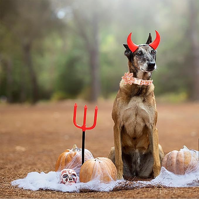 Elegant little tail Halloween Dog Collar