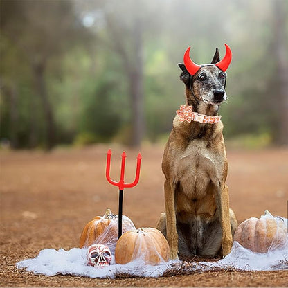 Elegant little tail Halloween Dog Collar