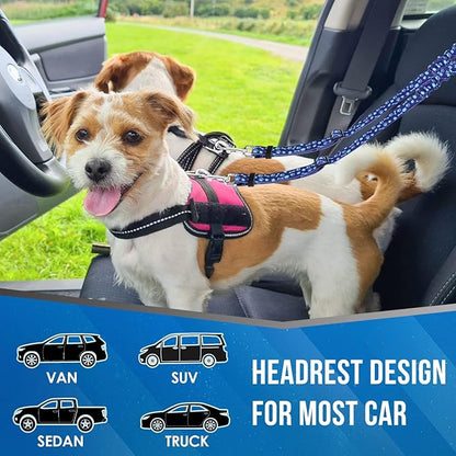 Lukovee Double Dog Seat Belt, New Dual Pet Car Headrest Restraint Safety Seatbelt No Tangle Dog Leash Duty Adjust Elastic Bungee Puppy Lead Splitter Connect Harness in Vehicle Travel for 2 Dogs (BL)