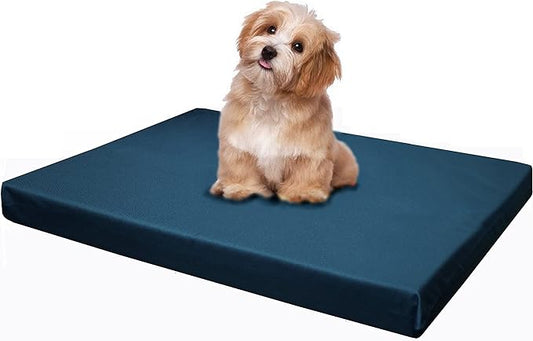 Dogbed4less Memory Foam Platform Dog Bed 29X18X3 Pacific