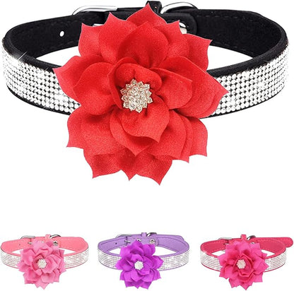 Rhinestone Dog Collar for Small Medium Dogs Black XS Dog Collar for Girl Female Dogs Flower Puppy Collar for Summer Spring Wedding Puppy Necklace Girl Dog Collar (Black