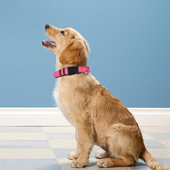 Reflective Dog Collar