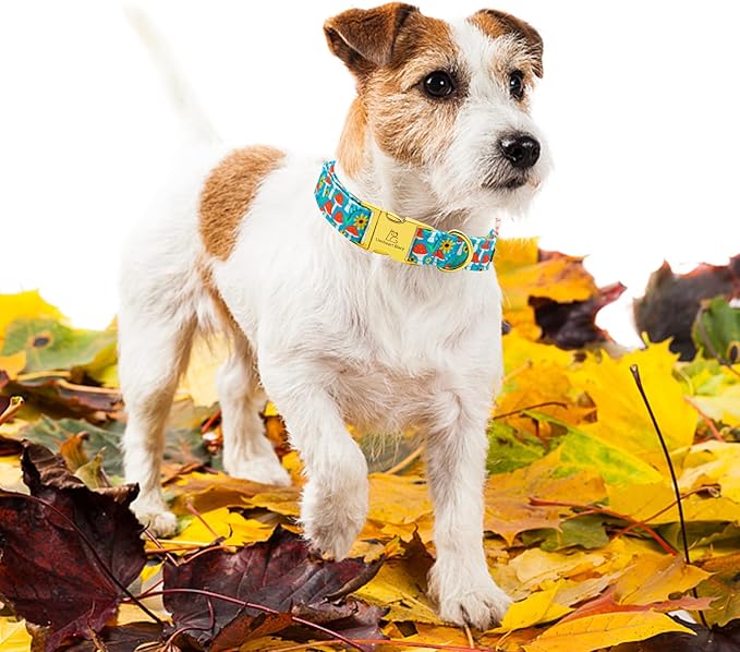 Lionheart glory Premium Fall Dog Collars Mushroom Print