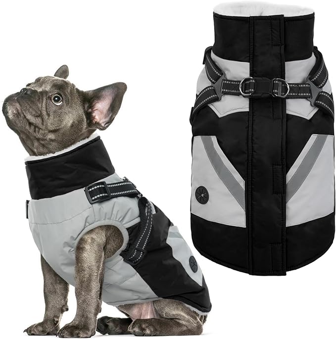 IECOii Dog Coat with Harness Built in -Black