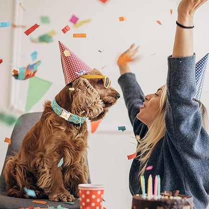 Lionheart glory Dog Collar Blue Dog Collar Summer