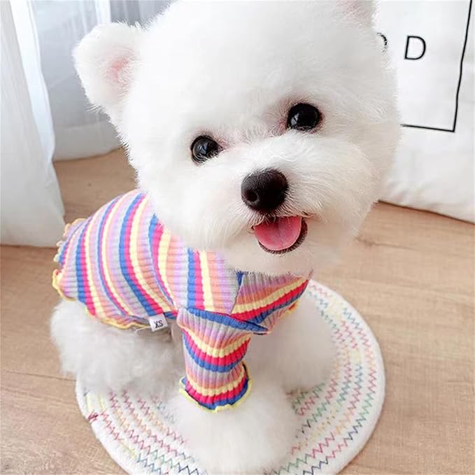 Small Medium Dog Clothes Rainbow Striped Dog Shirts Stretchable Long Sleeve Cat T-Shirt Pet Outfits for Chihuahua Yorkie Teddy (Yellow Edge, X-Large)