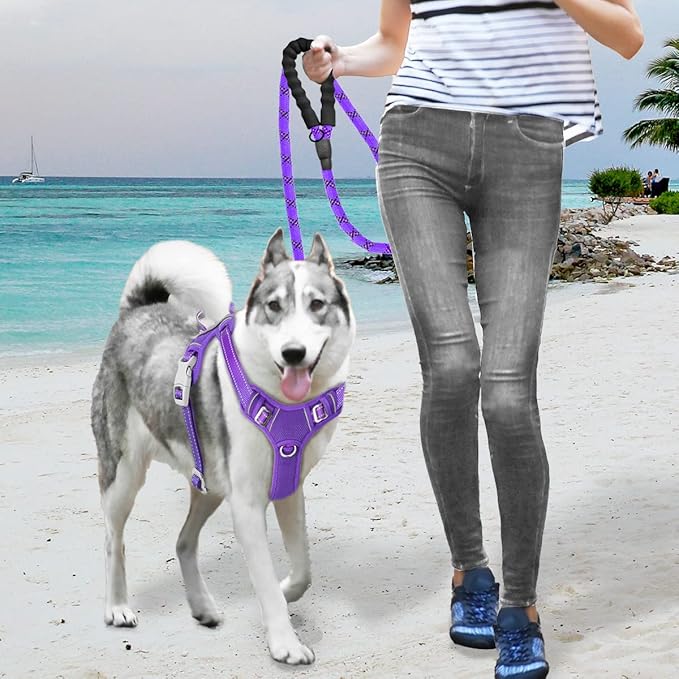 BARKBAY No Pull Dog Harness Large Step in Reflective Dog Harness with Front Clip and Easy Control Handle for Walking Training Running with ID tag Pocket(Purple,L)